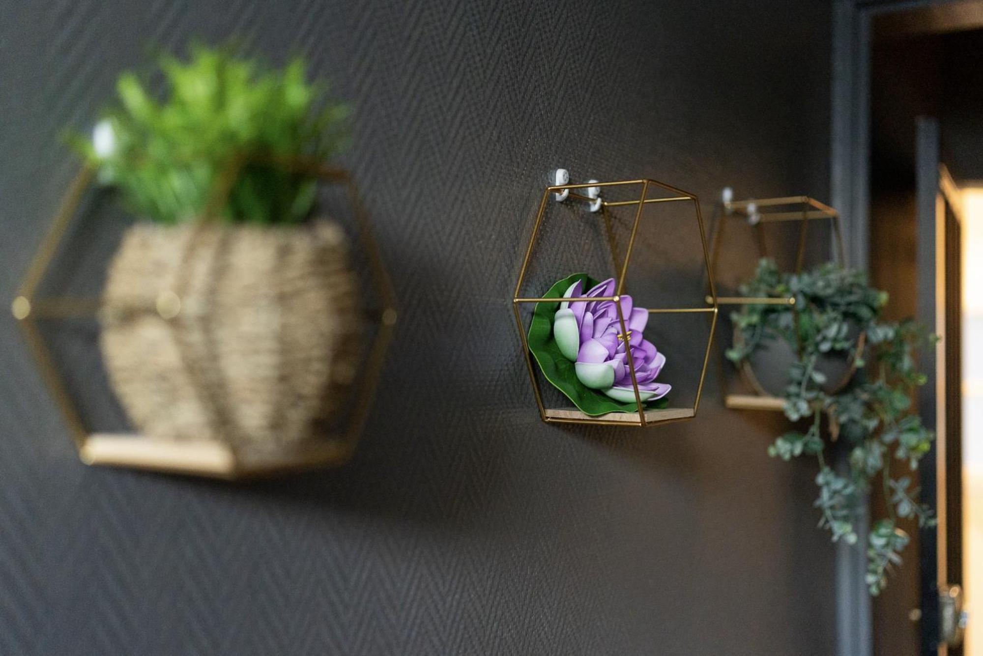 #Nouveau@Nature&Beaut# Cognac Extérieur photo